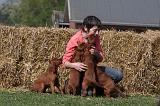 ADULTE ET CHIEN 267